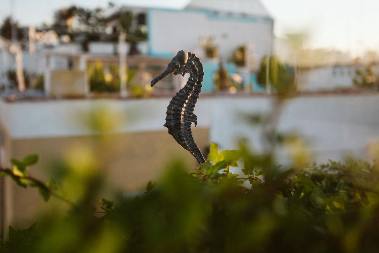 The Harbour - Luxury Living Bed & Breakfast Trani Ngoại thất bức ảnh